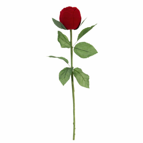 Bijouterie PINTO à Jussey en Haute-Saône Ecrin bague rose velours