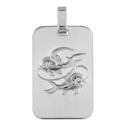 Pendentif argent Zodiaque plaque