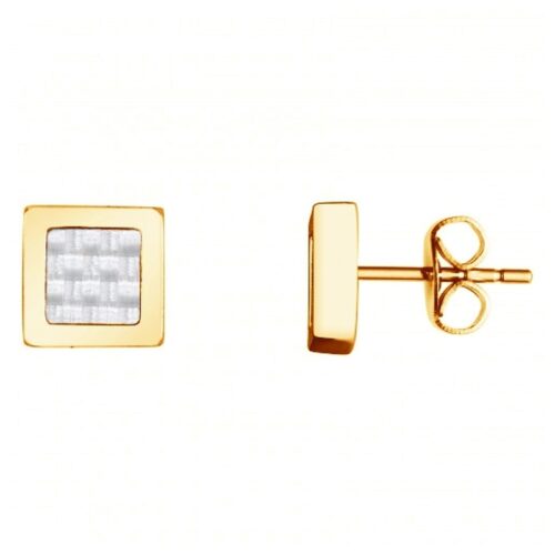 Boucles d'oreille Homme Acier doré carbone 870001