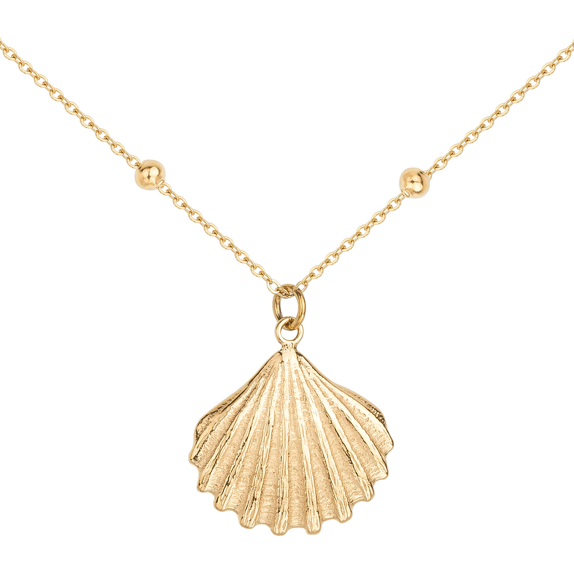 Collier acier Doré Coquillage 872.208